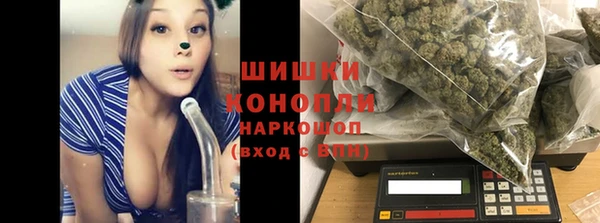 гидра Магас