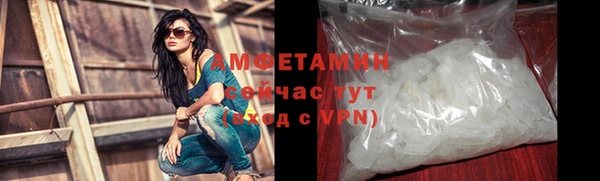 гидра Магас
