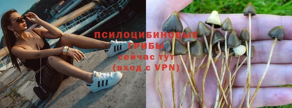 ПСИЛОЦИБИНОВЫЕ ГРИБЫ Магадан
