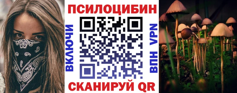 Купить Дмитриев Галлюциногенные грибы MAGIC MUSHROOMS